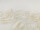 Empty gelatine capsules for capsule filling machine (size "00") 250 pieces